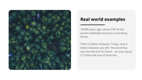 Deforestation and the Ozone Layer Education Presentation — slide 10