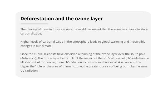 Deforestation and the Ozone Layer Education Presentation — slide 11