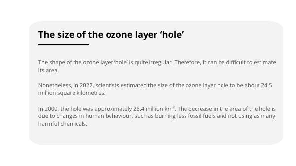 Deforestation and the Ozone Layer Education Presentation — slide 12
