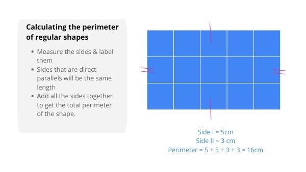 Gardening Applications of Perimeter Education Presentation — slide 8