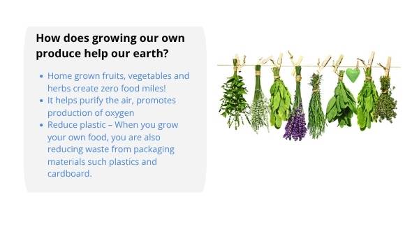 Gardening Applications of Perimeter Education Presentation — slide 10