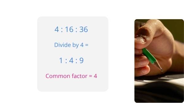 Nurse to Patient Ratios Education Presentation — slide 11