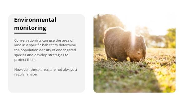 Irregular Polygon Area and Perimeter Education Presentation — slide 12