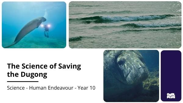The Science of Saving the Dugong Education Presentation — slide 1