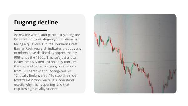 The Science of Saving the Dugong Education Presentation — slide 3