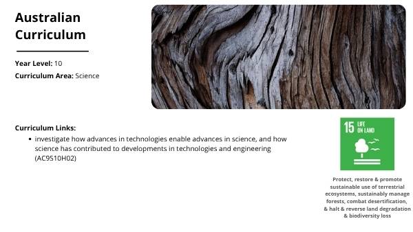 Classification and Identification of Trees Education Presentation — slide 2