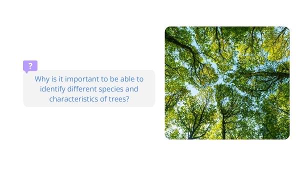 Classification and Identification of Trees Education Presentation — slide 3
