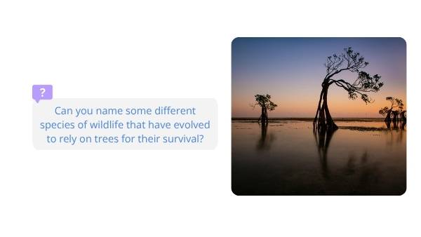 Classification and Identification of Trees Education Presentation — slide 10
