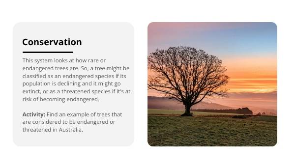 Classification and Identification of Trees Education Presentation — slide 11