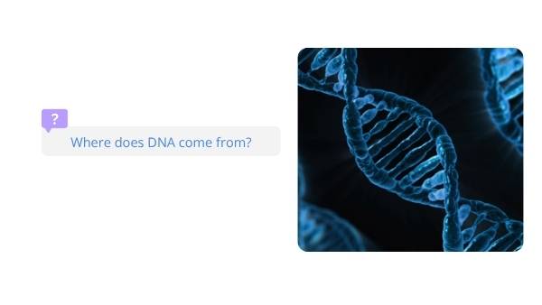 DNA Education Presentation — slide 3