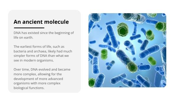 DNA Education Presentation — slide 5