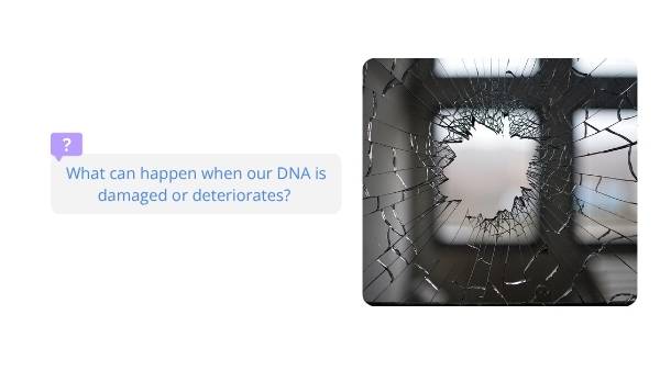 DNA Education Presentation — slide 7