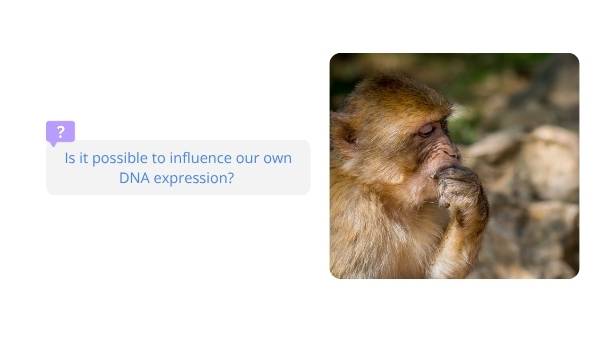 DNA Education Presentation — slide 8
