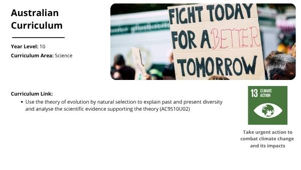 Where Did Humans Come From? Education Presentation — slide 2