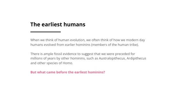 Where Did Humans Come From? Education Presentation — slide 5