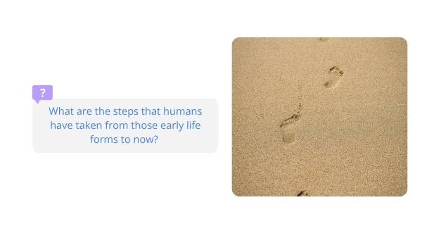 Where Did Humans Come From? Education Presentation — slide 7