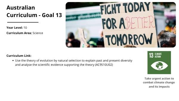 The Story of Human Evolution Education Presentation — slide 2