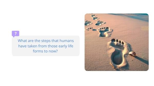 The Story of Human Evolution Education Presentation — slide 7
