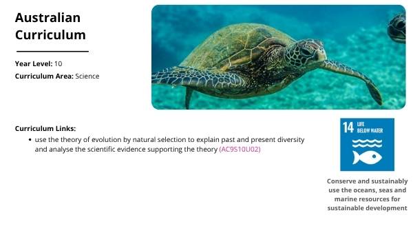 Animal Populations and Evolution Strategies Education Presentation — slide 2
