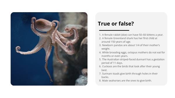 Animal Populations and Evolution Strategies Education Presentation — slide 3