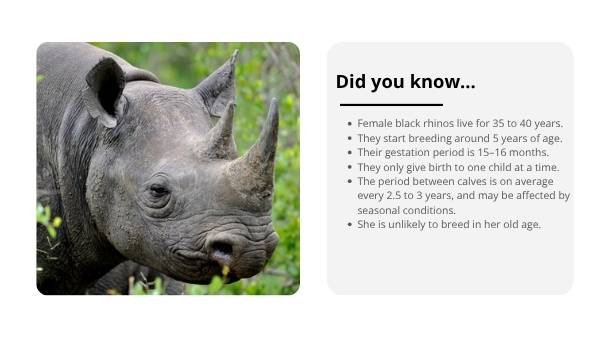 Animal Populations and Evolution Strategies Education Presentation — slide 4