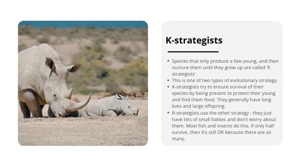 Animal Populations and Evolution Strategies Education Presentation — slide 5