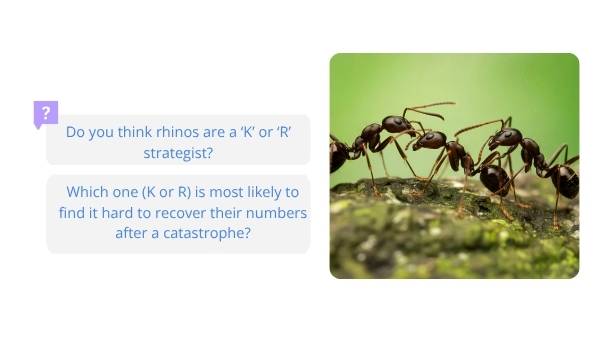 Animal Populations and Evolution Strategies Education Presentation — slide 6
