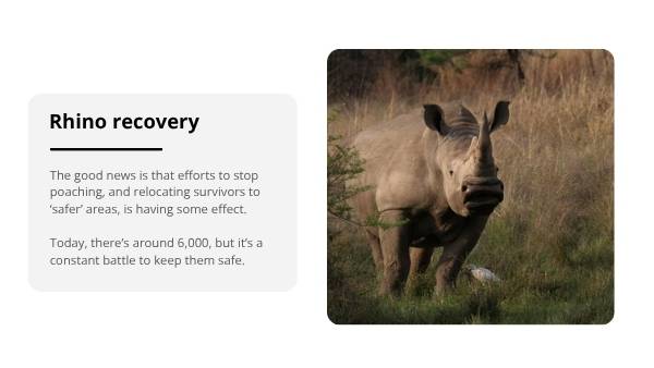 Animal Populations and Evolution Strategies Education Presentation — slide 8