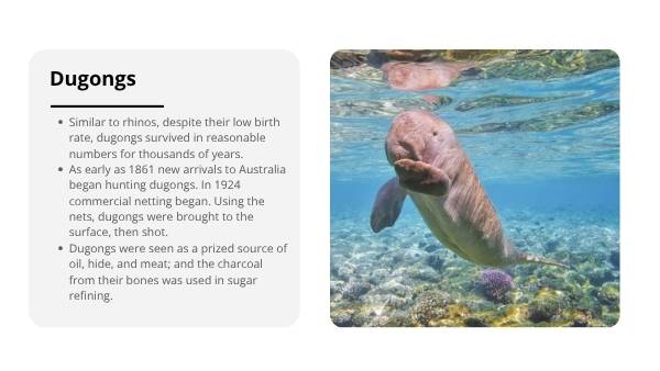 Animal Populations and Evolution Strategies Education Presentation — slide 10