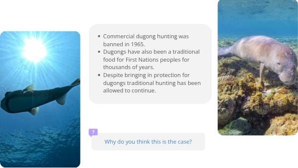 Animal Populations and Evolution Strategies Education Presentation — slide 11
