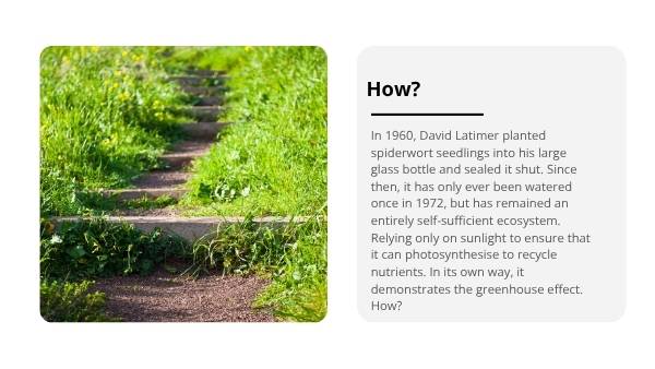 The Greenhouse Effect Education Presentation — slide 3