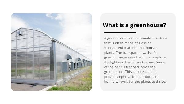 The Greenhouse Effect Education Presentation — slide 5