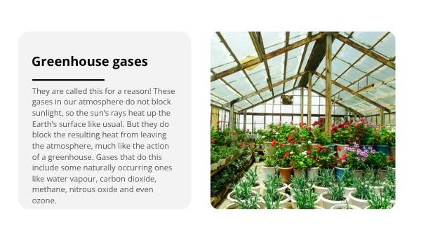 Climate Systems and Feedback Loops Education Presentation — slide 6