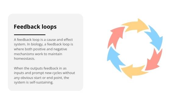 Climate Systems and Feedback Loops Education Presentation — slide 7