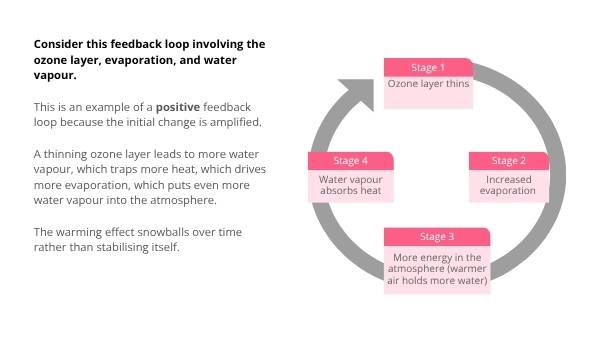 Climate Systems and Feedback Loops Education Presentation — slide 10