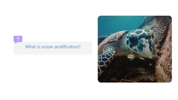 Ocean Acidification Education Presentation — slide 4