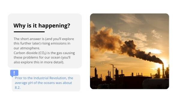 Ocean Acidification Education Presentation — slide 6
