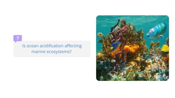 Ocean Acidification Education Presentation — slide 8