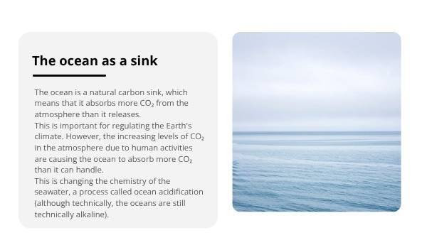 Ocean Acidification Education Presentation — slide 9