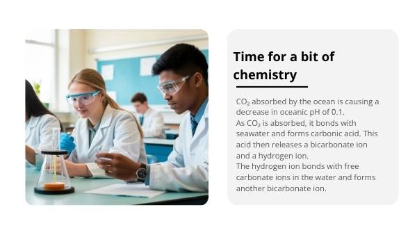 Ocean Acidification Education Presentation — slide 10
