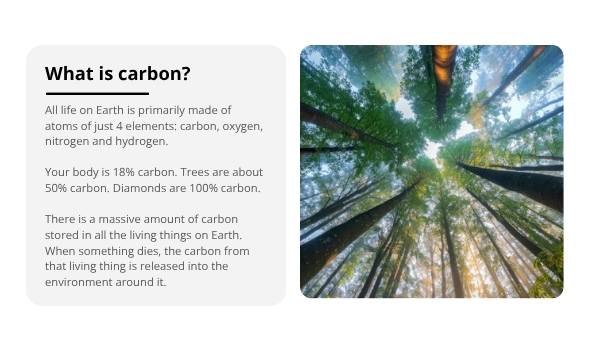 Carbon Emissions And Climate Change Education Presentation — slide 7