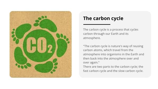Carbon Emissions And Climate Change Education Presentation — slide 8