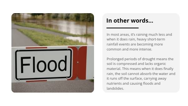 Responding to the State of the Climate Report Education Presentation — slide 9