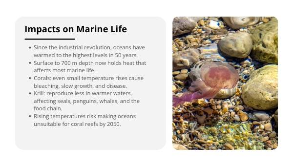 Oceans and Global Warming Education Presentation — slide 6