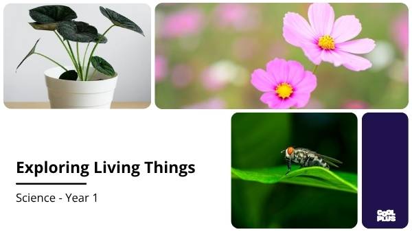 Exploring Living Things Education Presentation — slide 1