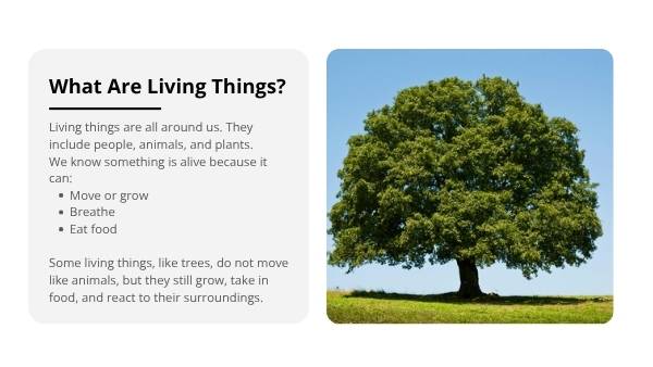 Exploring Living Things Education Presentation — slide 4