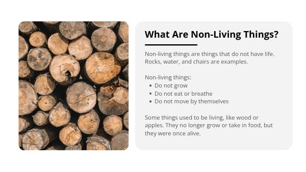 Exploring Living Things Education Presentation — slide 5