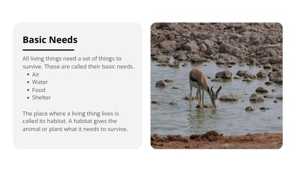 Exploring Living Things Education Presentation — slide 6