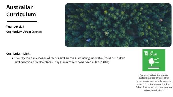 Non-living Things Education Presentation — slide 2