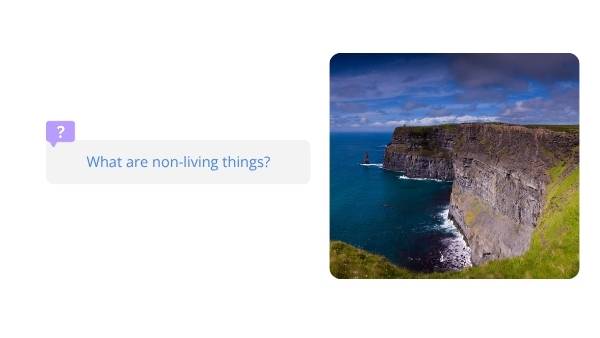 Non-living Things Education Presentation — slide 3